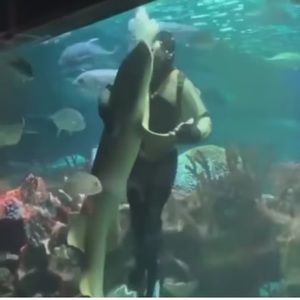 Meet your Posher, Abraham